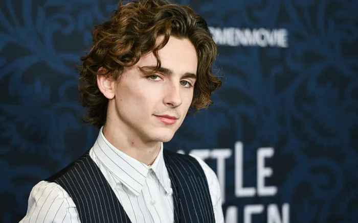 Pakaian Timothee Chalamet untuk Pria | Tips Gaya Ikon Selebriti